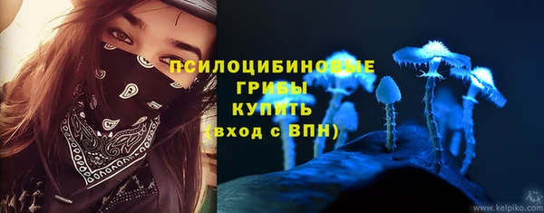 эйфоретик Алексин