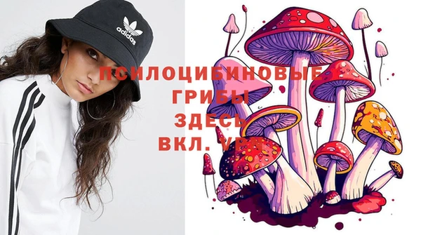 наркотики Алексеевка